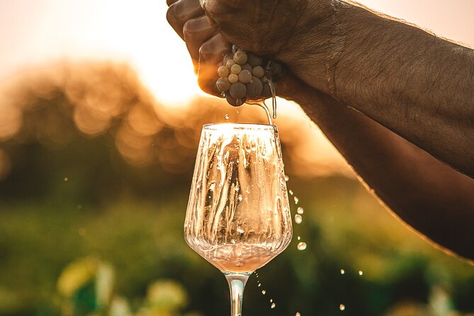 Krka Waterfalls & Wine and Cheese Tasting Tour from Split - Skradin wine tasting at Restaurant Skala by Vinarija Sladić