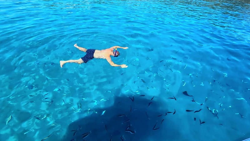 Makarska: 3-island Speedboat Cave & Blue Lagoon Tour - Meeting point and timing: start from the Palladium dock