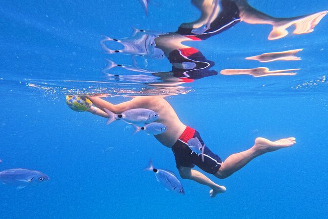 Makarska: 3-Island Speedboat Tour with Cave and Blue Lagoon - Pokrivenik and the blue cave: the swim that feels almost private