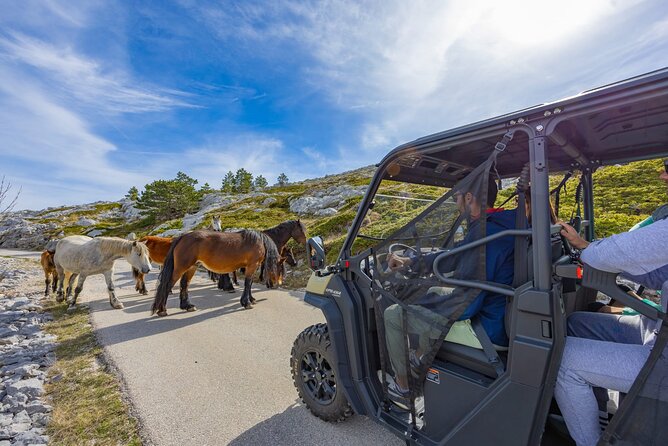 Makarska: Baggy Skywalk & Biokovo Viewpoint Tour - Skywalk and Sinjal: The mix that makes this tour feel like more than a ticket