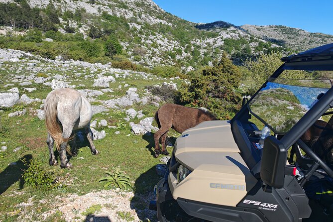 Makarska: Baggy Skywalk & Biokovo Viewpoint Tour - Sinjal peak stop and the Dalmatian picnic view over Hvar and Brač