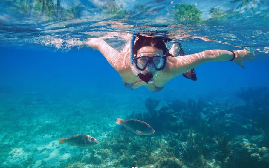 Makarska: Sea kayaking & snorkeling adventure - MPL Nautika - Cliff-jumping and swim time: what to expect without overpromising