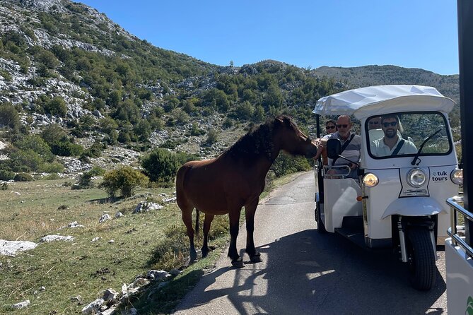 Makarska: Skywalk Tour with a Tuk Tuk - Skip the line ticket - Who should book this tour (and who might not)