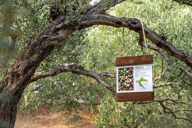 Makarska Tuk Tuk Tour Olive Grove, Scenic Views and Tastings - Price and value: what $58.47 really buys you