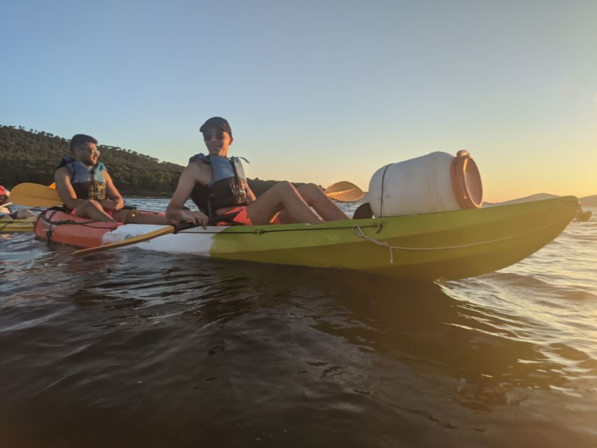 Morning Split Sea Kayaking Tour - Your guide experience: Marin, Jay, Sven, and Philip