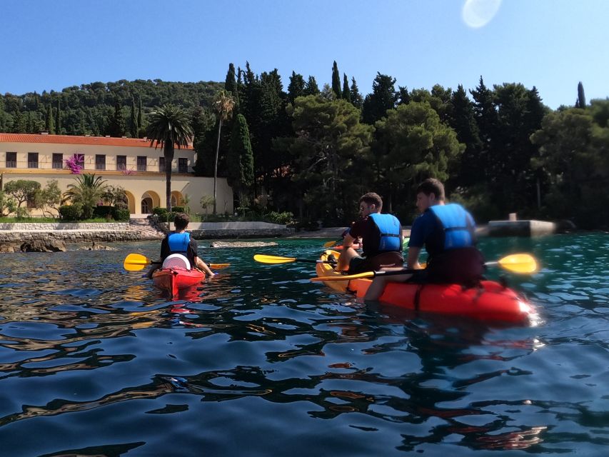 Morning Split Sea Kayaking Tour - Price and value: what $58 covers (and what it doesn’t)