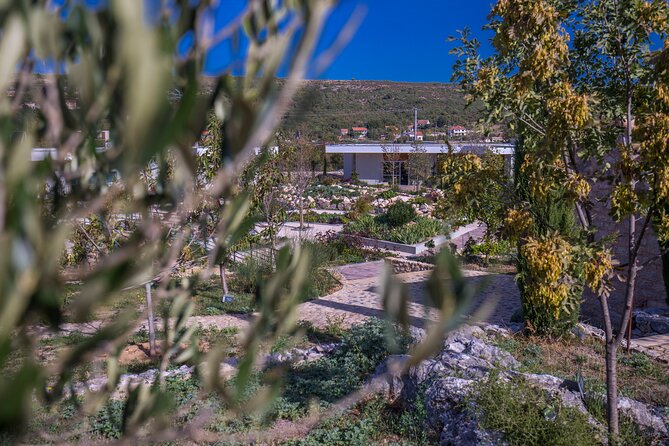 Olive museum Klis with educational olive oil tasting - Traditional Gastro Delicacies and the Concept Store Finish