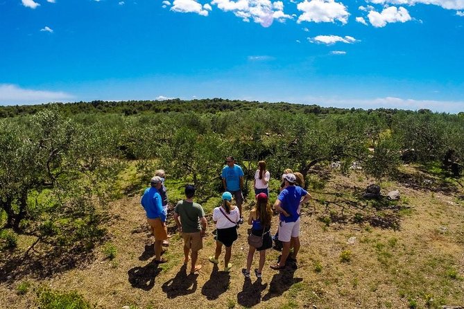 Olive Oil Tour of Solta Island with Lunch - Key moments that make this tour worth it