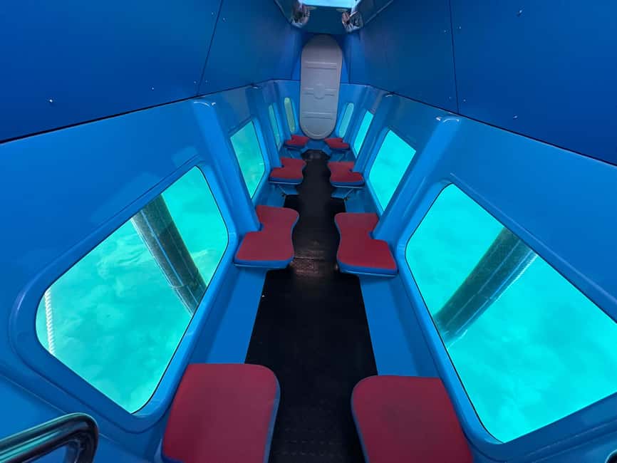 Omiš: Semi-Submarine Underwater Adventure - Sea life sightings: fish now, octopus and jellyfish when luck shows up