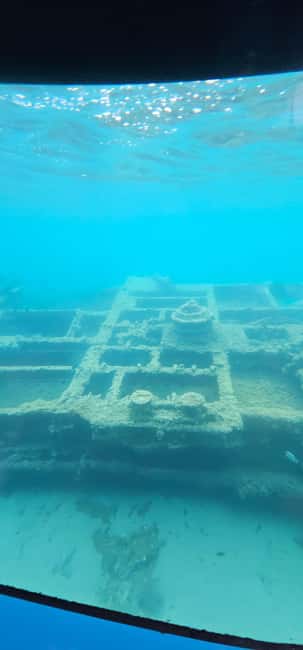 Omiš: Semi-Submarine Underwater Adventure - Night tours and underwater lights: the easy upgrade that changes everything