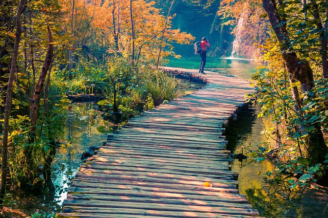 Plitvice Lakes Economy Group Tour from Split or Trogir - The ride itself: comfort, timing, and real bathroom break expectations