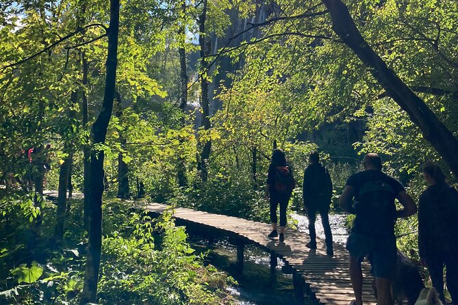 Plitvice Lakes National Park Guided Day Tour from Split - Lunch Break and Snack Stops: Optional Food, Real Timing