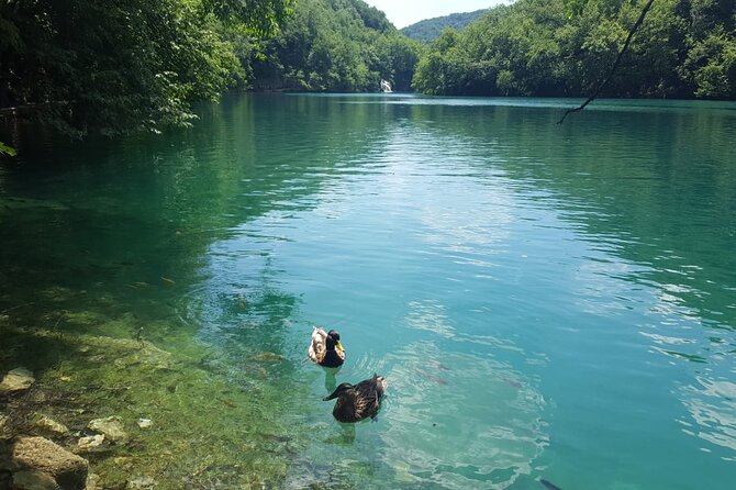 Plitvice Lakes Small Group Tour Ecco from Split or Trogir - Key highlights worth clocking before you go