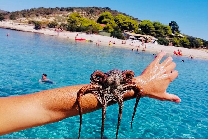 Private Blue Cave Tour from Split, Brač, Trogir and Hvar - Private Charter Days: Why This One Feels Effortless