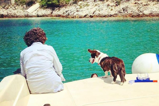 Private boat transfer Split - Bol - Timing: Operating Season and How to Plan Your Day