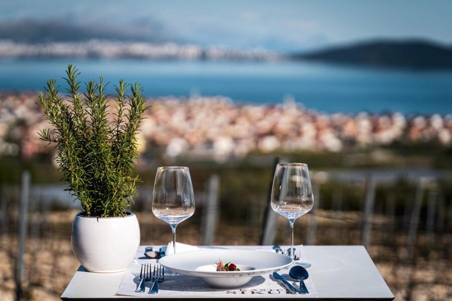 Private Split & Trogir Wine Tasting & Vineyard with Sea View - The van ride: short transfer time, air-conditioning, and a clean rhythm