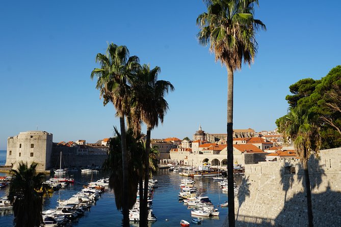 Private transfer from Split to Dubrovnik - The driver factor: safety and small touches