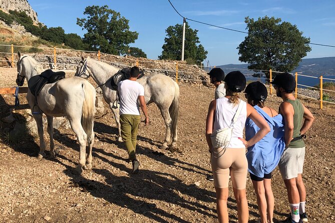 Ranch 22 Podstrana, " Horse riding 12 km from SPLIT " - Roman trails, Perun hill, and why this ride feels different