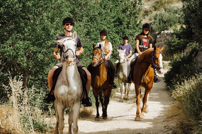 Ranch 22 Podstrana, " Horse riding 12 km from SPLIT " - Price and value: what $105 is really buying you