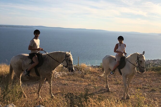Ranch 22 Podstrana, " Horse riding 12 km from SPLIT " - Who should book this horseback ride from Split (and who might not)