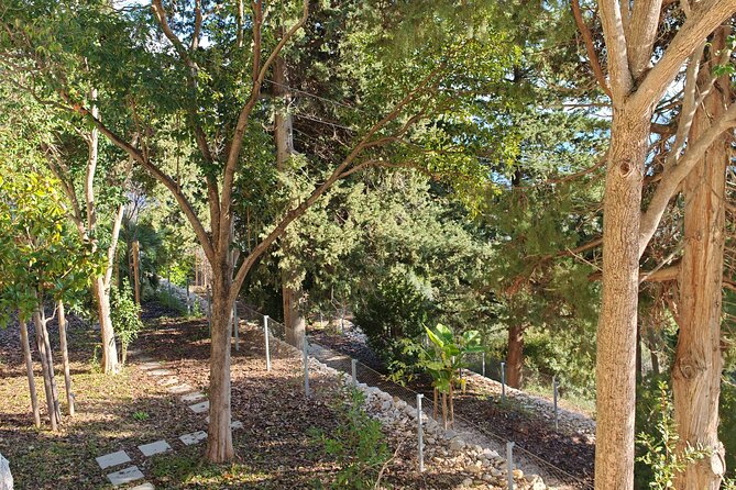 Secret Marjan Park Hiking Tour in Split - Who should book this Marjan hiking tour (and who should skip it)