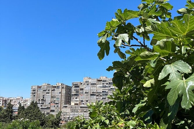 Secret Split: Socialist Architecture & brutalism - Urban Utopia - Papandopulova ulica: the Split 3 MoMA moment