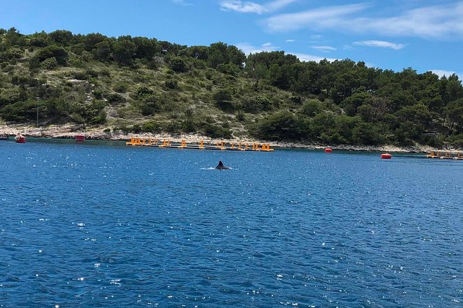 Secrets of Brac and Solta - Off the Beaten Track Croatia - Stomorska lunch stop (not included): plan your budget and cravings