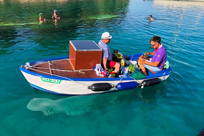 Secrets of Brac and Solta - Off the Beaten Track Croatia - Nečujam shipwreck snorkeling: the underwater highlight