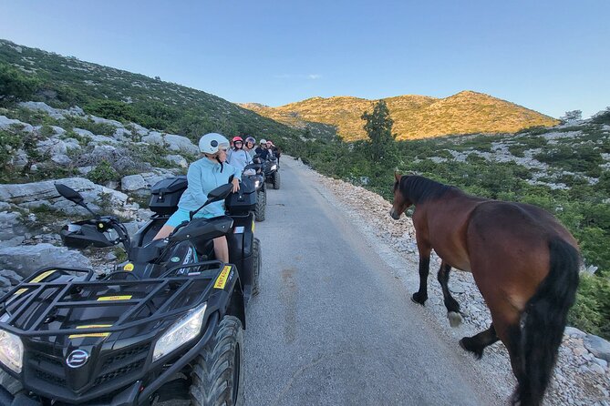 Skywalk Biokovo ATV Quad Tour - Price and value: what you’re actually getting for $179.84