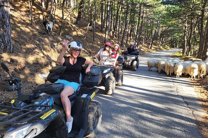 Skywalk Biokovo ATV Quad Tour - How the view breaks and wild-horse picnic shape the day