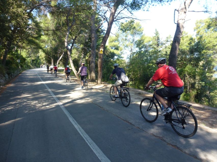 Split 3-Hour Guided Bike Tour - Who Should Book This Tour (and Who Might Want Electric)