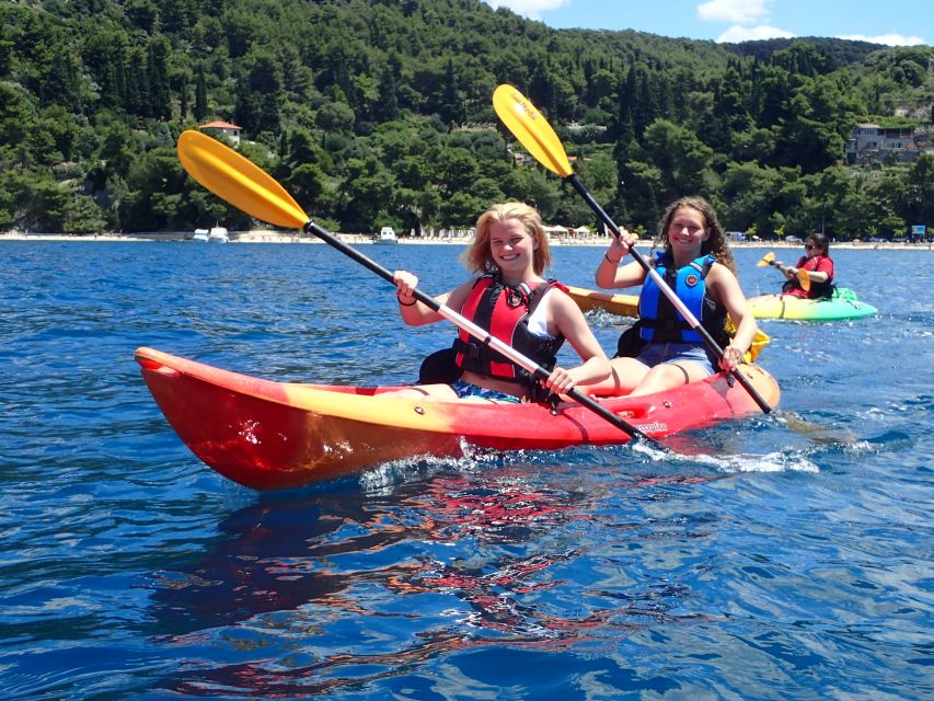 Split 4-Hour Guided Sea Kayak Tour - Key things that make this kayak tour work