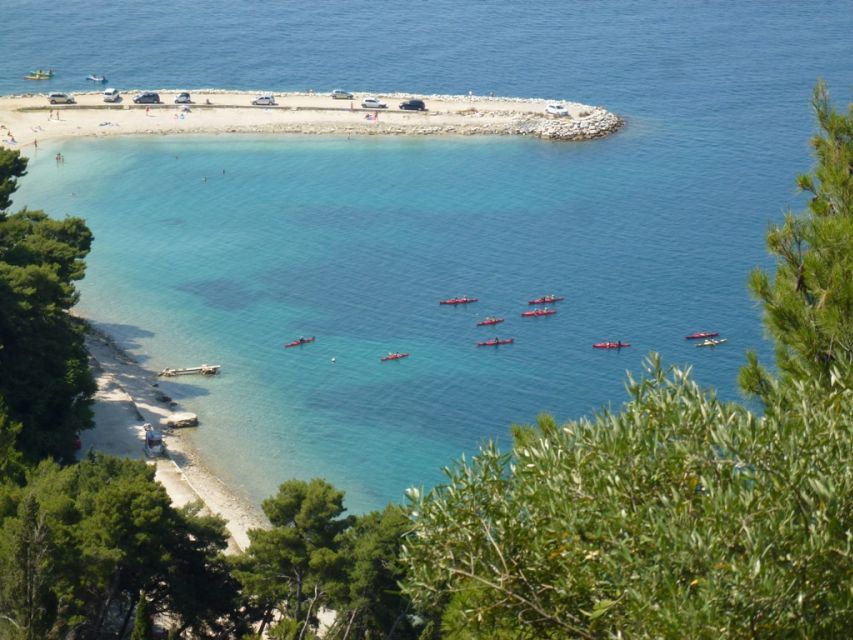 Split 4-Hour Guided Sea Kayak Tour - Comfort, Fitness, and Why Your Kayak Back Matters