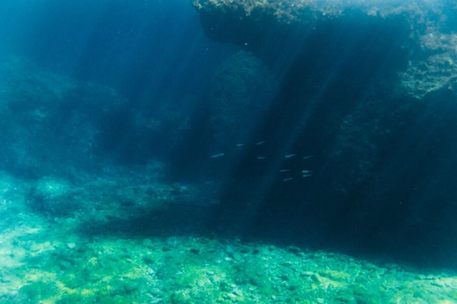 Split: 45-minute Semi-Submarine Trip - Should you book this semi-submarine trip?