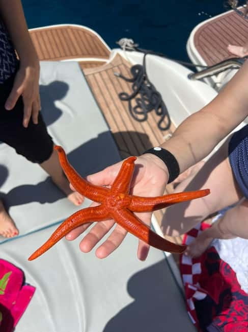 Split: 5 Islands Full-Day Tour to Blue Cave, Vis & Hvar - Key things that make this tour worth your time