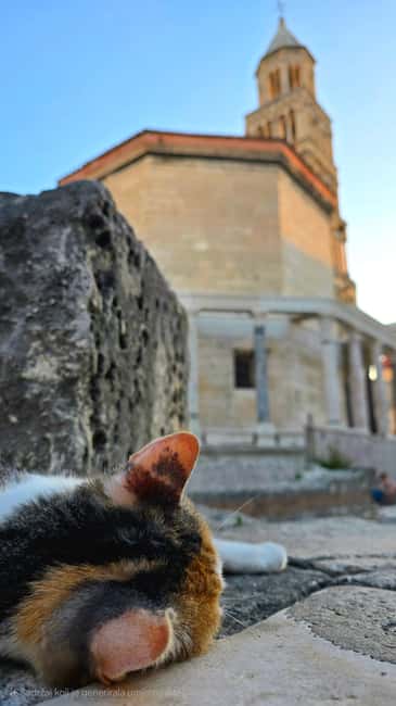 Split and Diocletian's Palace walking tour with a local guid - How the walk moves through time without feeling rushed