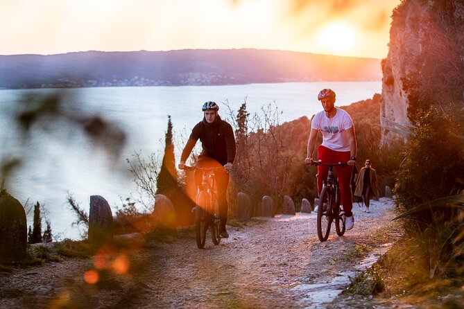 Split Bike and Wine Experience - Who This Tour Suits Best