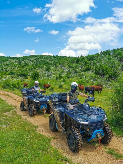 Split: Dalmatian Quad Tour with River Swimming & Picnic - Getting from Split to the base: not hard, just plan your timing