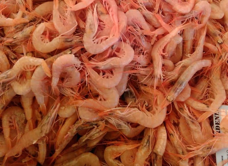 Split: Food Tasting Walking Tour - Peškarija fish market: salted anchovies and marenda brunch habits