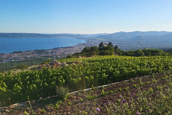 Split/Kaštela - Zinfandel Roots Off-road ATV Quad Adventure - Stop 3: Biblical Garden Stomorija and the Zinfandel roots story