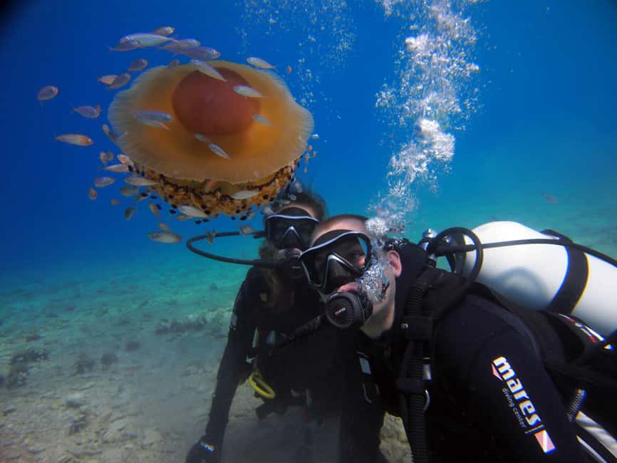 Split-Makarska-Brela Try SCUBA Dive - Key things I’d bet on