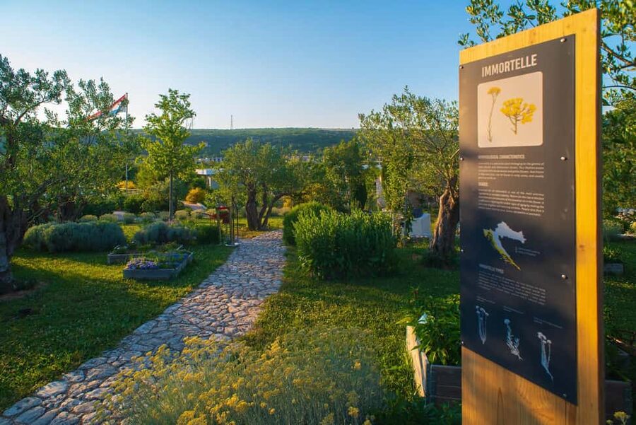 Split: Olive museum Klis with Olive Oil Tasting - Stella Croatica in Klis: what your guided tour really includes