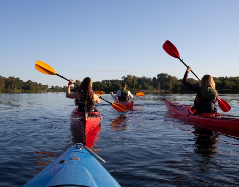 Split/Omiš - Guided River & Sea Kayaking + Snorkeling Tour - Price and Value: Is $47 Worth It for Cetina + Snorkeling?