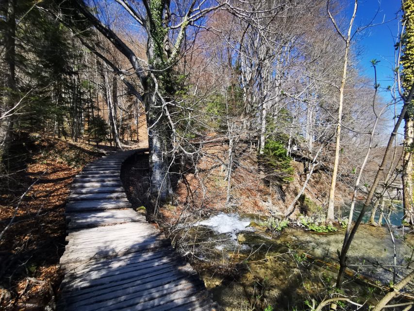 Split: Plitvice Lakes Guided Day Tour with Entry Tickets - Should you book this Plitvice Lakes guided day tour from Split?