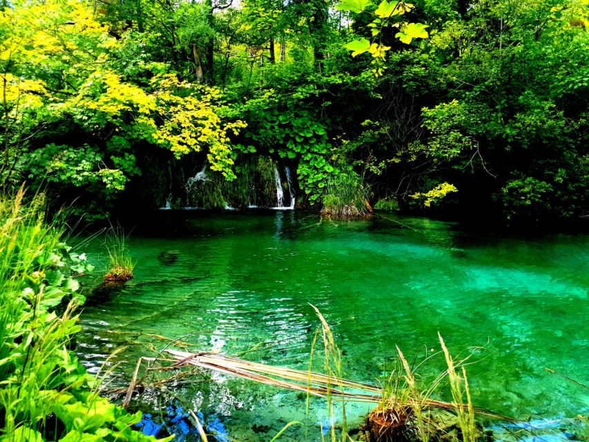 Split: Plitvice Lakes Guided Day Tour with Entry Tickets - Who should book this tour from Split—and who should rethink it