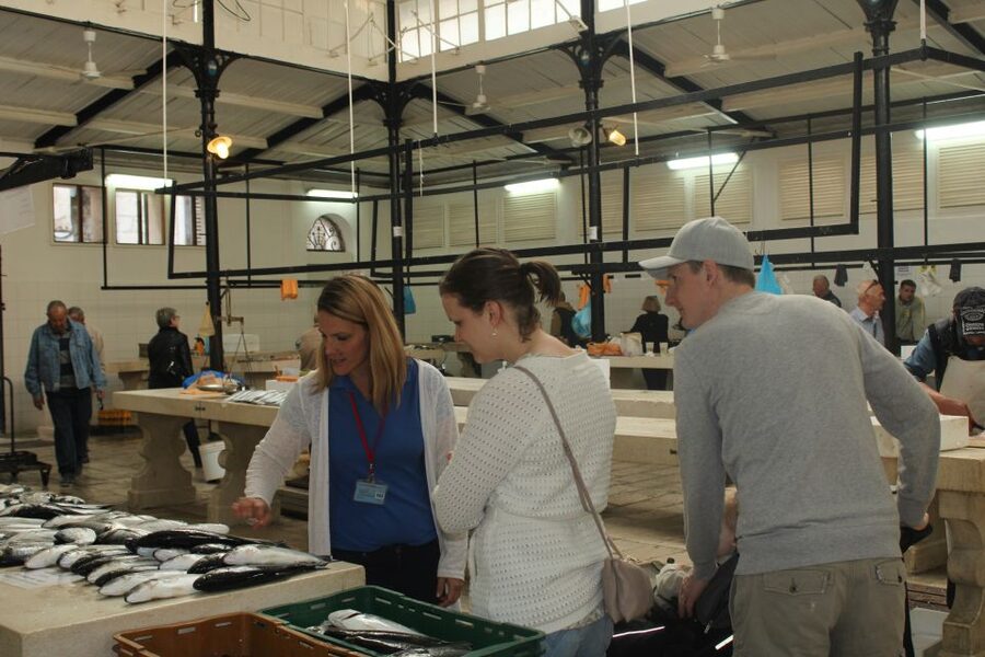 Split: Private Food Tasting Tour - Who This Tour Fits Best in Split (and Who It Might Not)
