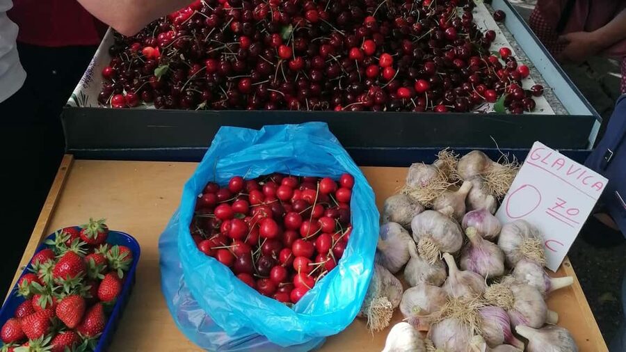 Split; Private Morning Walking Tour in Split - Private morning in Split: less chaos, more connection