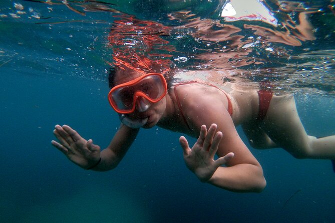 Split Sea Kayaking & Snorkeling Tour - Price and value: $60.49 that works if you want action