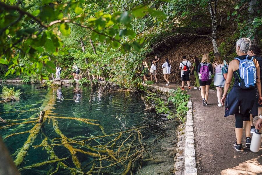 Split: Self-Guided Plitvice Lakes Day Tour with Boat Ride - The Electric Woodland Train: Comfort While You Go Deeper