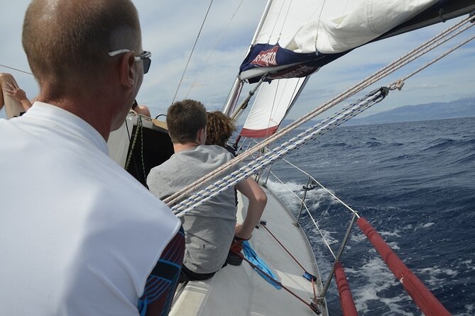 Split: Small-Group Half Day Sailing Trip - Getting on board at the Harbour Master’s Office in Split
